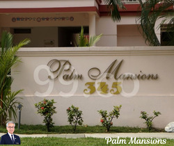 Palm Mansions (D5), Apartment #494368611